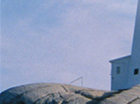 Lighthouse Information Services